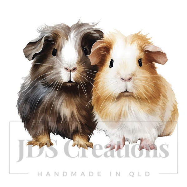 DTF Transfer - Guinea Pig Pair