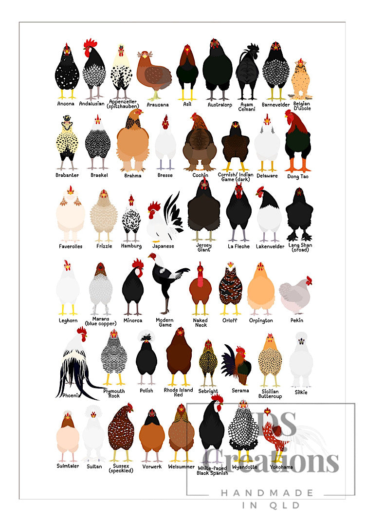 Chickens Of The World Teatowel