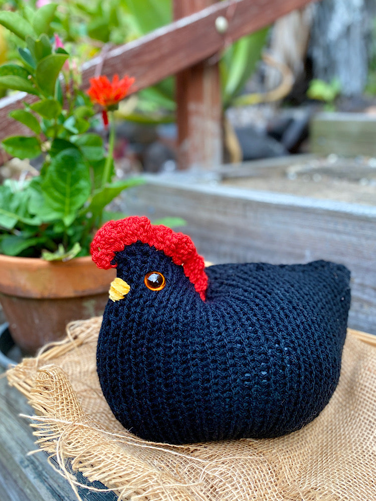 Amy Australorp Chubby Chicken